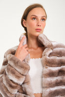 Women Chincilla Rex Long Jacket (Latte Color)